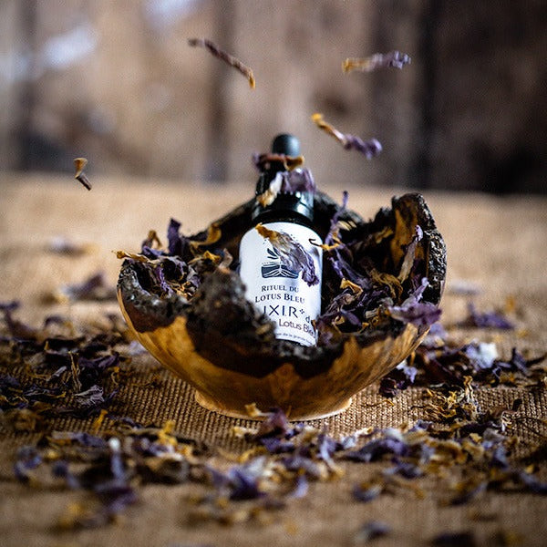 Elixir de fleur de Lotus Bleu