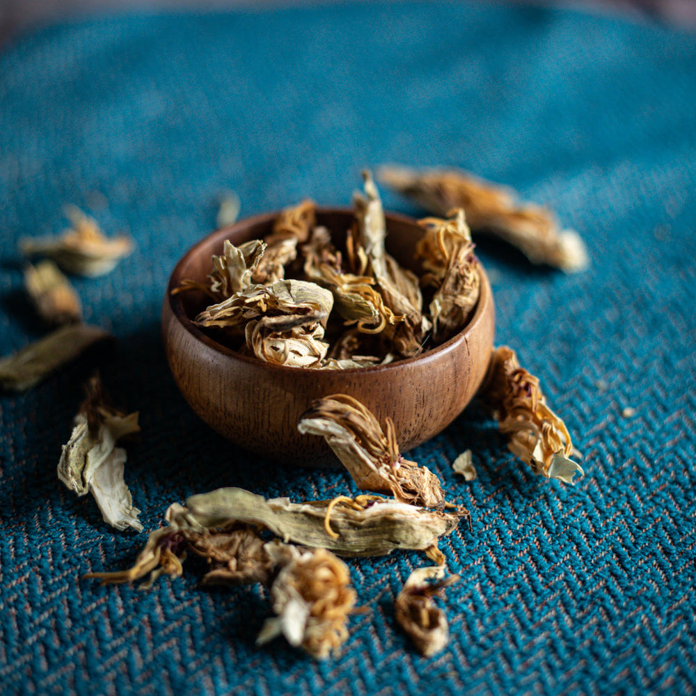 Pétales de Lotus Blanc