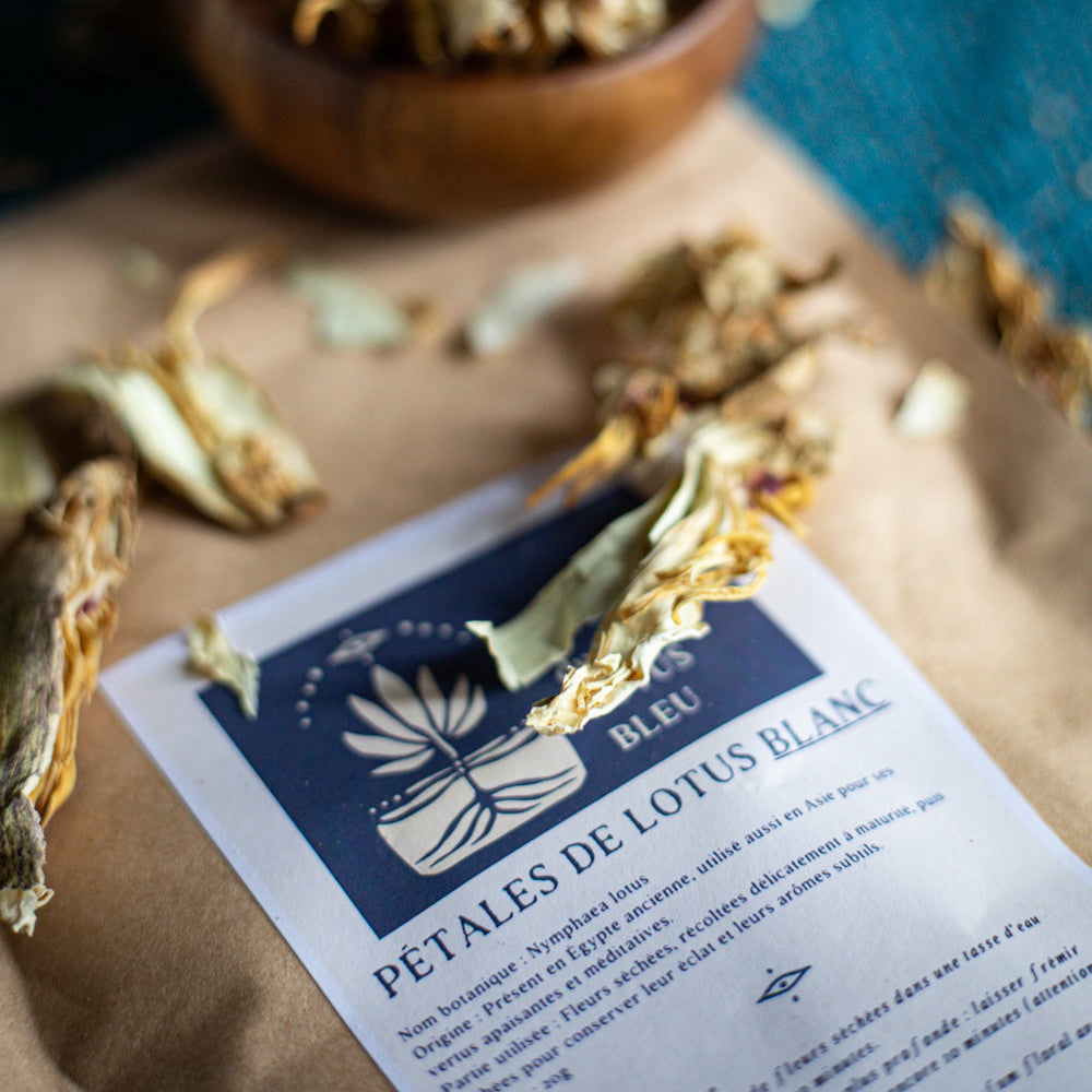 Pétales de Lotus Blanc