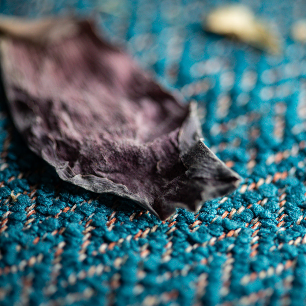 Pétales de Lotus ROSE