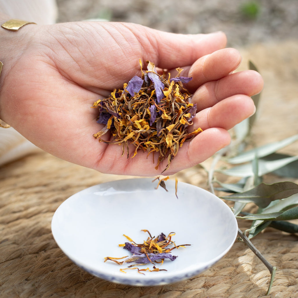 Pétales de Lotus Bleu