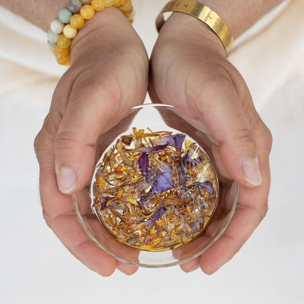 Pétales de Lotus Bleu