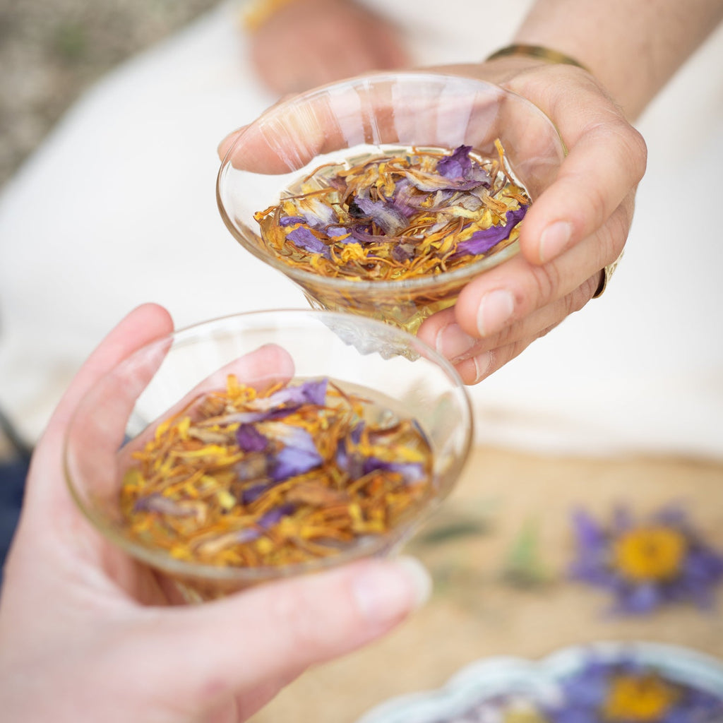 Pétales de Lotus Bleu